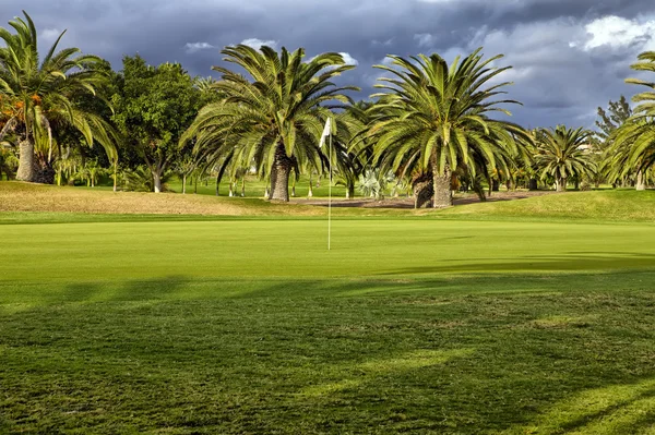 Yeşil golf — Stok fotoğraf