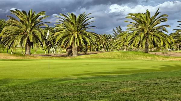 Yeşil golf — Stok fotoğraf