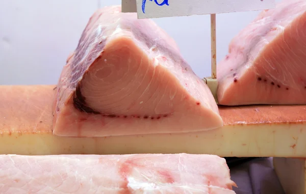 Vit tonfisk — Stockfoto