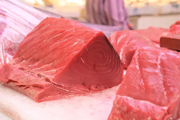 Taze ton balığı — Stok fotoğraf