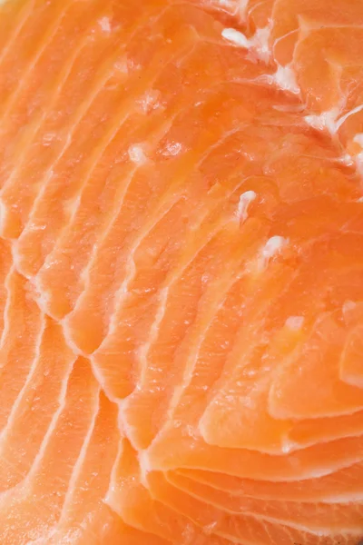 Salmon — Stock Photo, Image