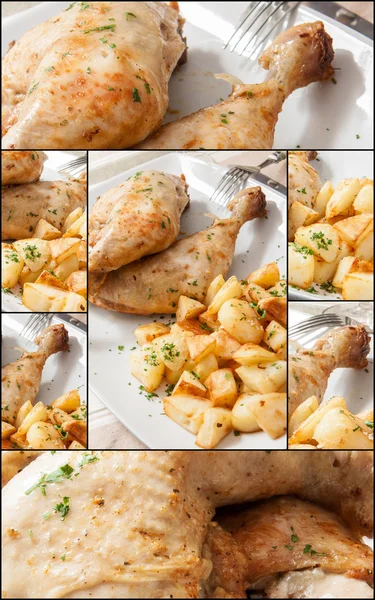 Chicken collage — Stock Photo, Image
