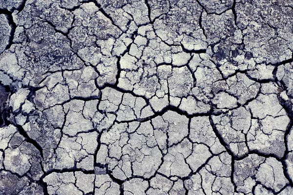 Хаотичні тріщини на сухій землі — стокове фото