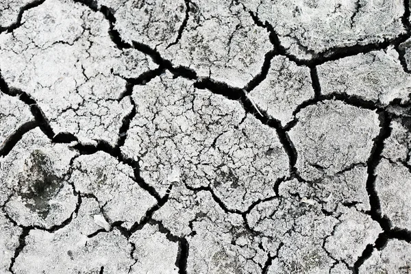 stock image Chaotic cracks on dry land