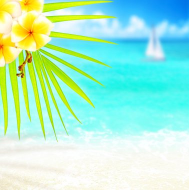 Tropical beach border clipart