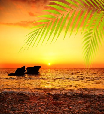 Sunset on the beach clipart