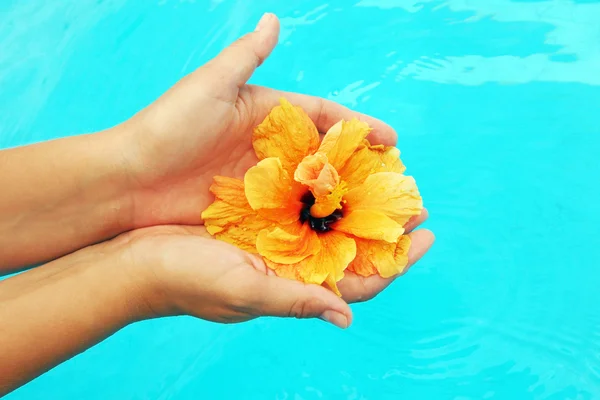 Mooie vrouwelijke handen in het zwembad — Stockfoto