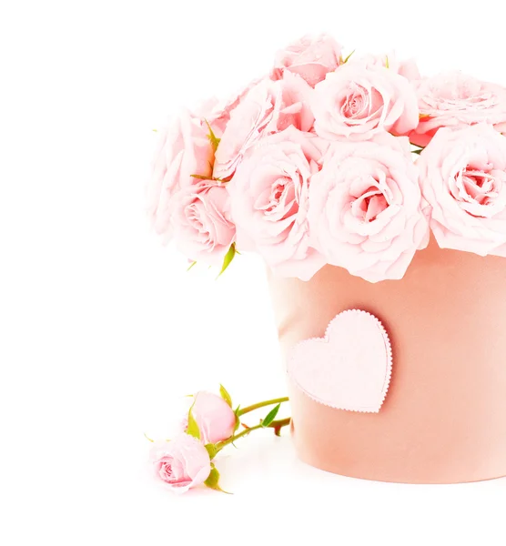 Topf mit rosa Rosen — Stockfoto