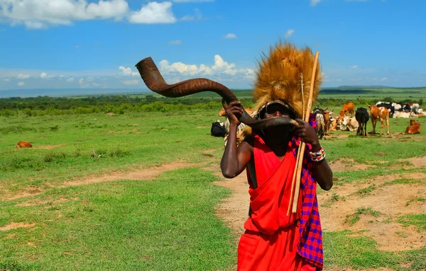 Масаи-воин играет на традиционном роге — стоковое фото