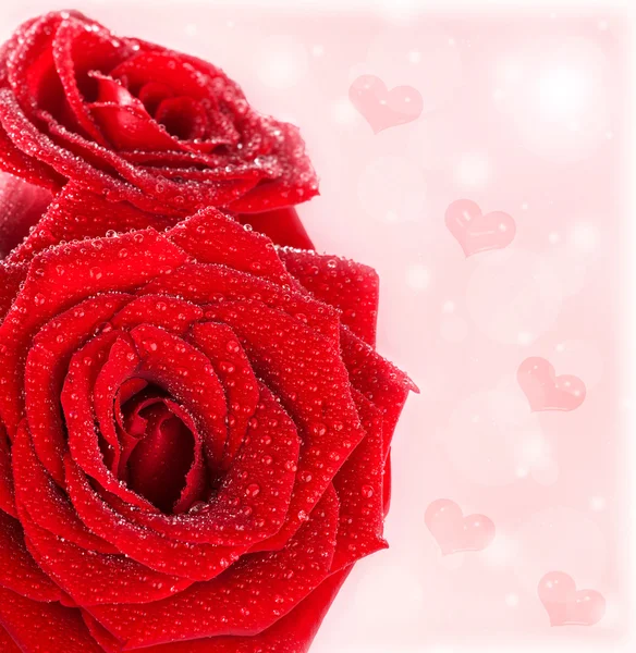 Όμορφα κόκκινα τριαντάφυλλα σύνορα με καρδιές — Φωτογραφία Αρχείου