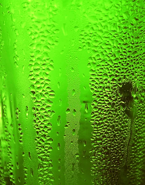 Trèfle vert fond de bière chanceuse — Photo