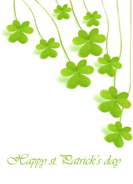 Green fresh clover clipart