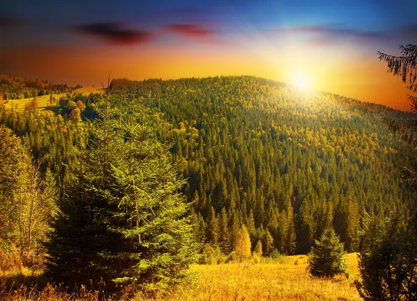 Színes naplementét a hegyek erdők — Stock Fotó
