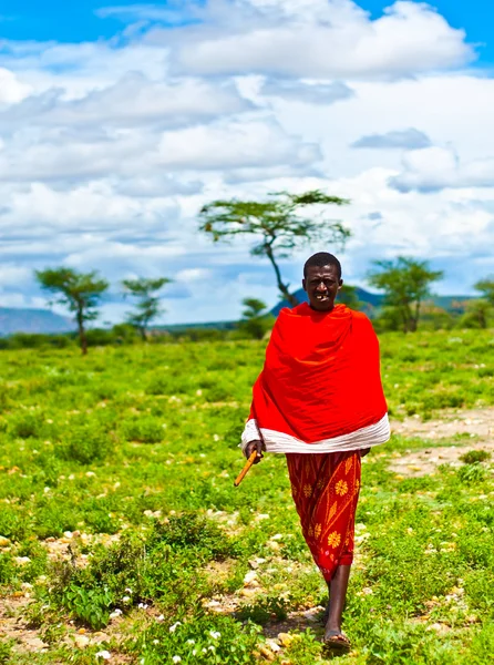 Племенной человек Африки — стоковое фото