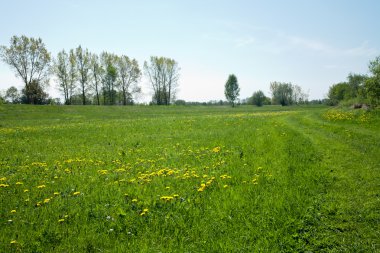 kırsal manzara ve kırsal yol