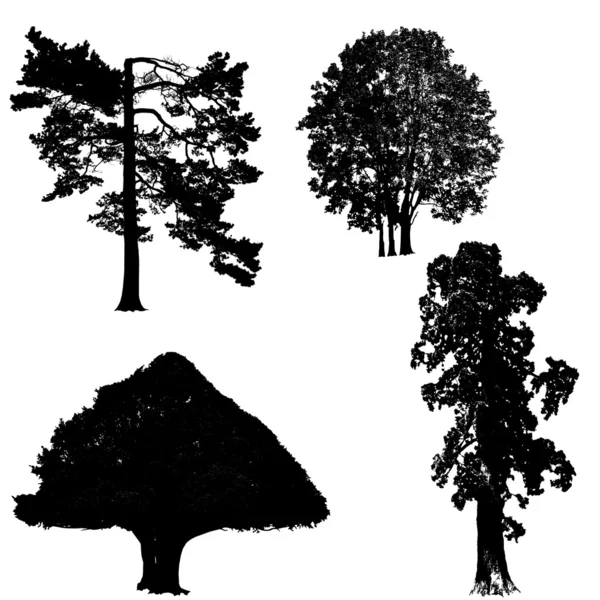 黑色和白色树集合 — 图库照片