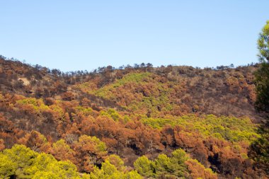 Dağdaki ateş