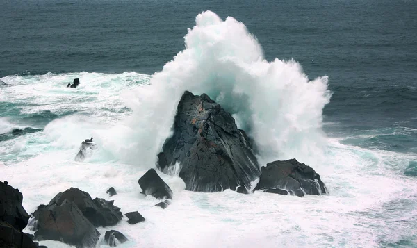 Bølger på kysten med kraft – stockfoto