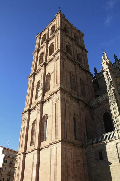 サラマンカ、スペインの有名なカトリック大聖堂の詳細 — ストック写真