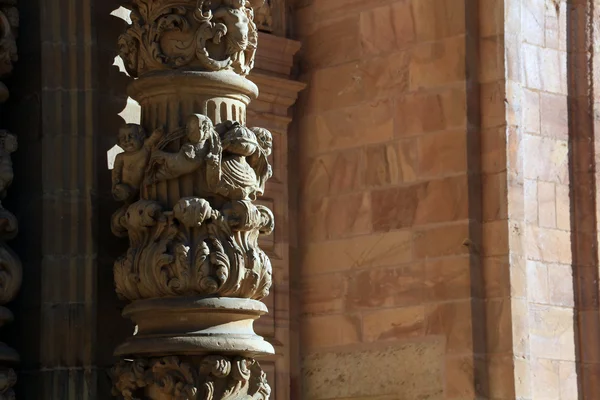 Details van de beroemde katholieke kathedraal in astorga, Spanje — Stockfoto