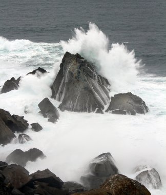 dalgalar deniz kenarı bir güçle