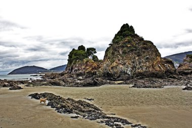 plajlar ve kıyıları, galicia, İspanya