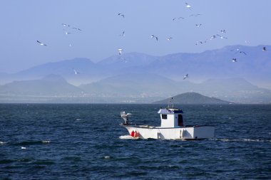 küçük yelkenli deniz balıkçılık yoluyla