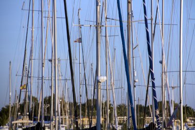 Teknelerden port torrevieja, İspanya