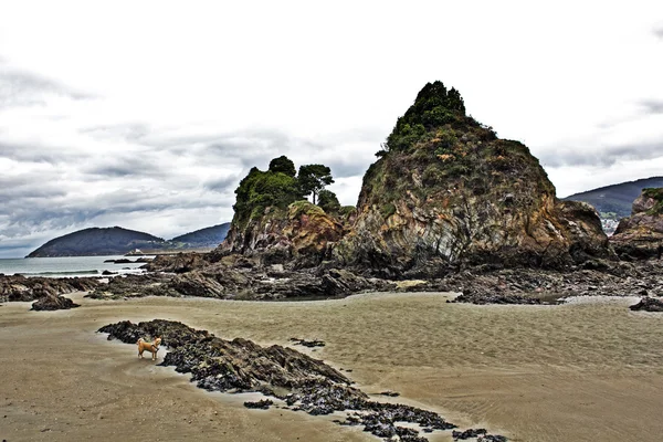 Praias e costas da Galiza, Espanha — Fotografia de Stock