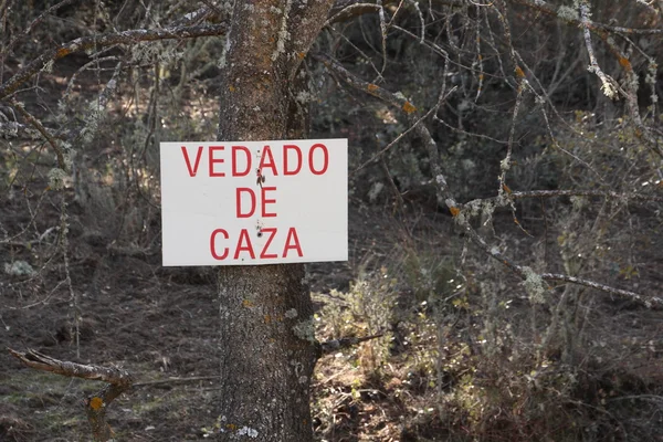Árbol con póster prohibido cazar en español —  Fotos de Stock