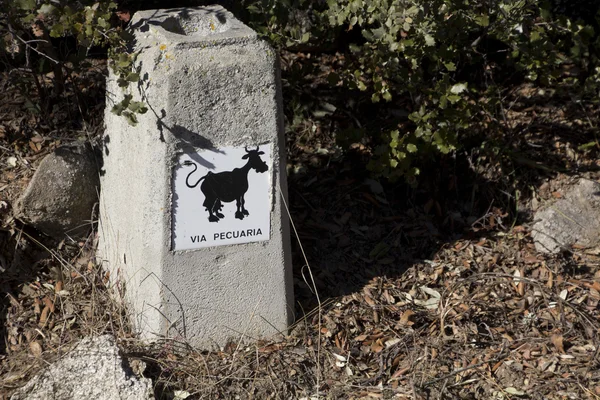 Sign of concrete on a path indicating passage of livestock — Stock Photo, Image