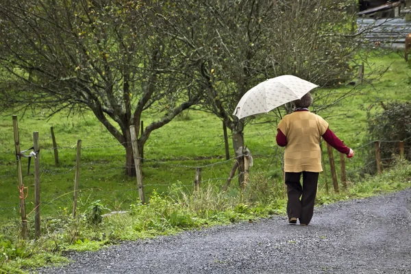 Old woman walking along the road of a meadow