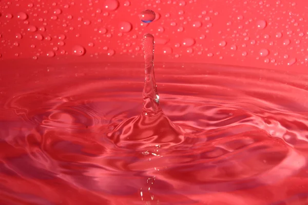 Kırmızı zemin üzerine sıçramasına su damlaları — Stok fotoğraf