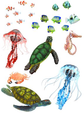 Underwater animals clipart