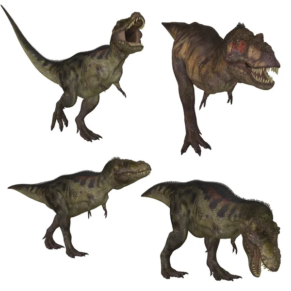 Tyrannosaurus rex — Stockfoto