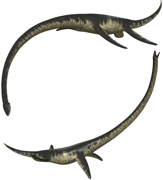 Elasmosaurus Rechtenvrije Stockafbeeldingen
