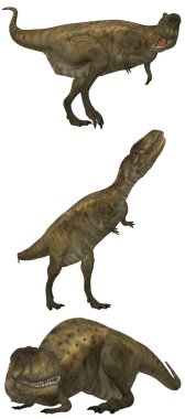 Abelisaurus clipart