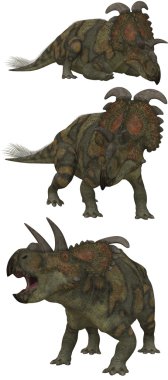 Albertaceratops clipart