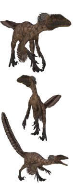 Deinonychus clipart