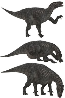 Iguanodon clipart