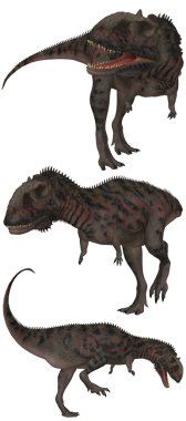 Majungasaurus