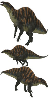 Ouranosaurus