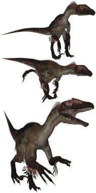 Utahraptor