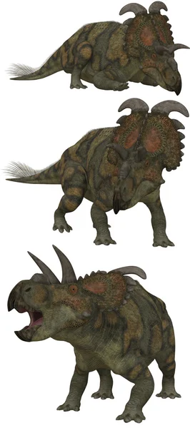 Albertaceratops — Stock fotografie