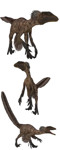 Deinonychus — Stok fotoğraf