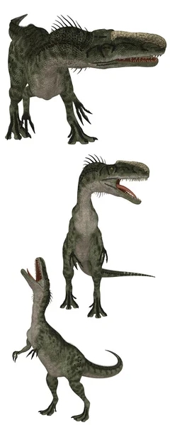 モノロフォサウルス — ストック写真