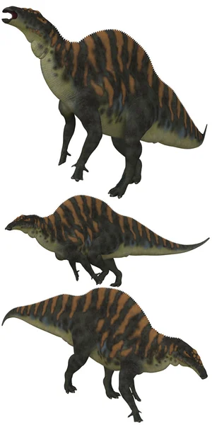 Ouranossauro — Fotografia de Stock