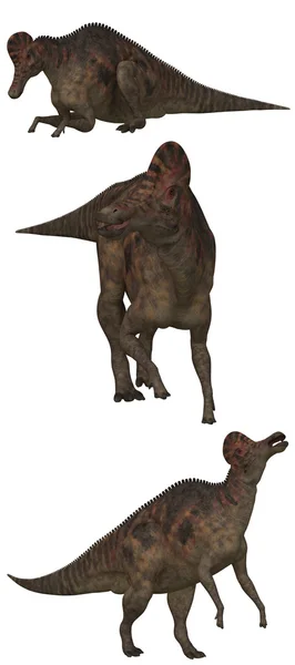 Corythosaurus 로열티 프리 스톡 사진
