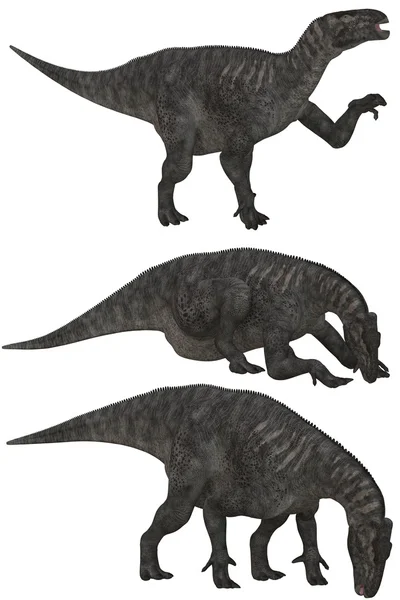 Iguanodon Stockfoto
