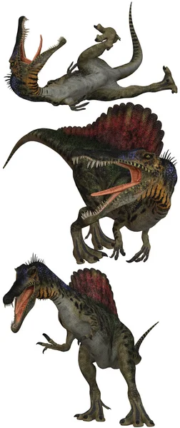 Spinosaurus Stockafbeelding